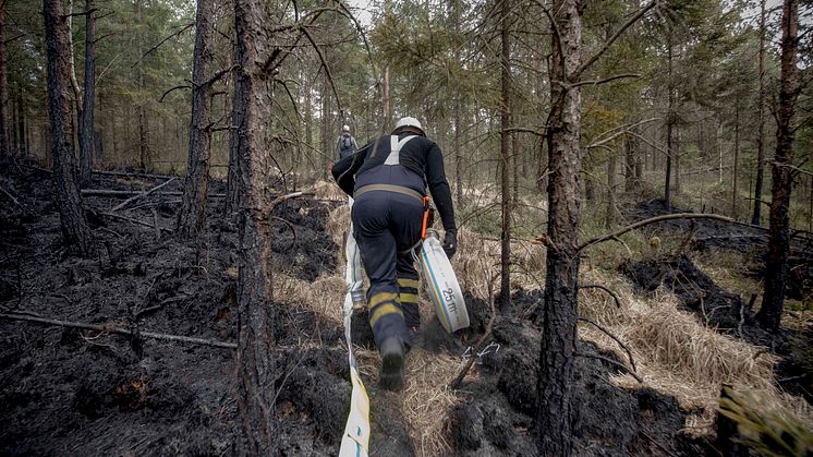 Inför sommarens skogsbränder har MSB förstärkt beredskapen på flera punkter.