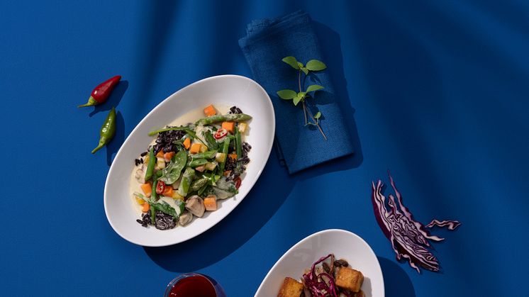 Discover Airlines x Lukas Jakobi_Curry_Duck-min
