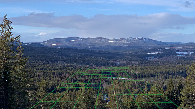 Genom att utnyttja detaljerna i högupplösta laserdata, och därmed ta större hänsyn till skogens variation, kan skogsägare uppfylla sina mål bättre och även öka värden som kolbindning, biologisk mångfald och avverkningsvolym. Foto: Emma Sandström