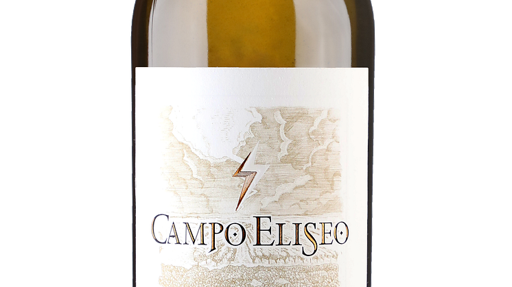 Campo_Eliseo_Rueda_Blanco