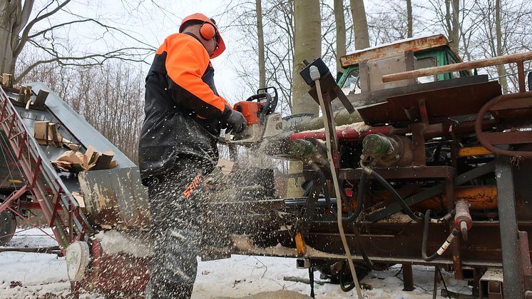 STIHL MS 361 er hjertet i savværket
