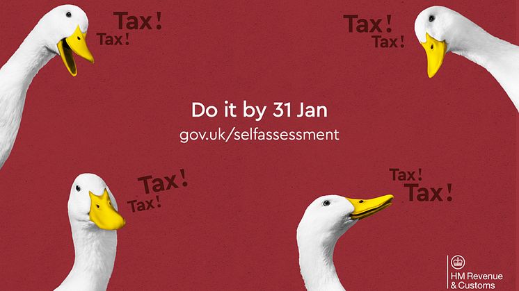 Do your tax return before it drives you quackers, you’ve got one week to go!