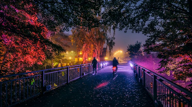 Foto Lights in Borås .jpg