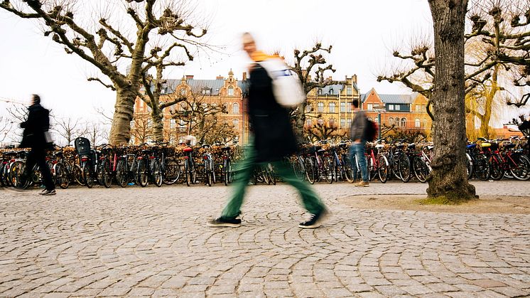 Sveland Djurförsäkringar flyttar till Lund.Fotograf: Christiaan Dirksen