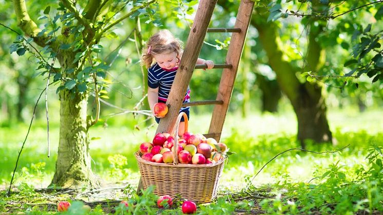 AdobeStock_69689751-1024x682