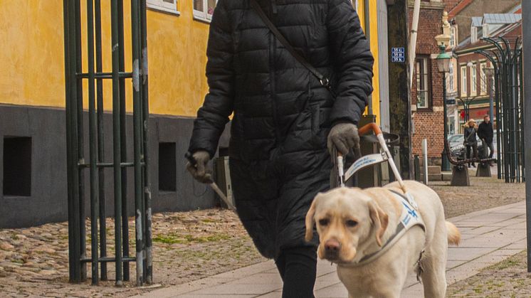 foto Birgitta o Jimmy.jpg