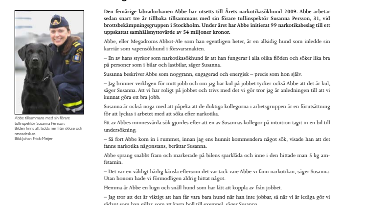 Allsidige Abbe hittar allt – ung labradorhane Årets narkotikasökhund