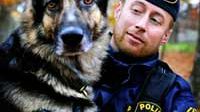 Orax är Årets Polishund 2009