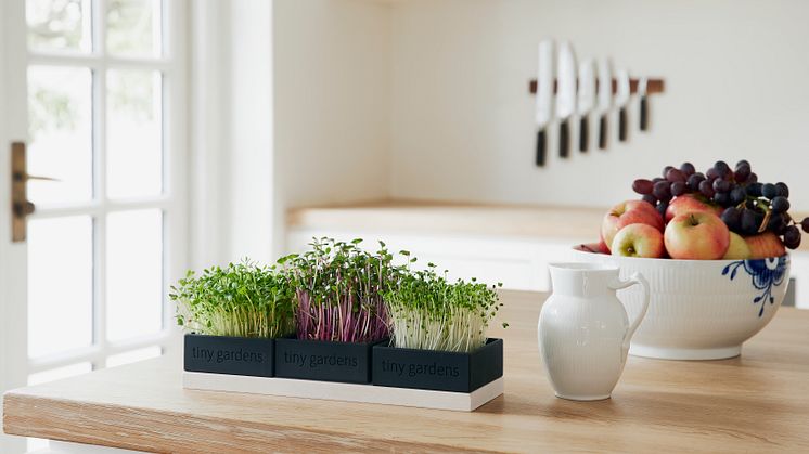Med Tiny Gardens miniköksträdgårdar blir det enklare för alla att få mer grönt i sina måltider