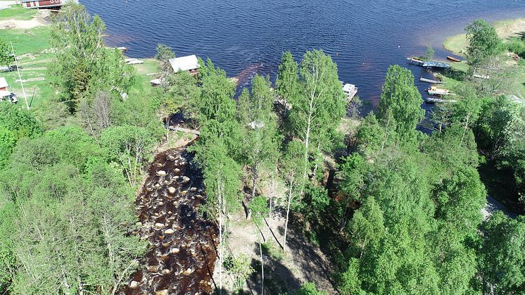 Nianåns mynning i Njutångersfjärden. Foto: Nichlas Dahlén/Länsstyrelsen Gävleborg