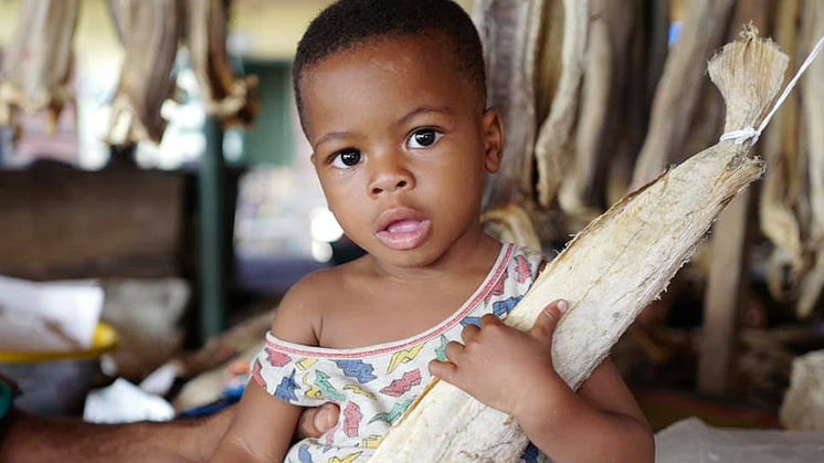 Norsk tørrfisk er hverdagsmat for nigerianere, men er likevel på lista over importprodukter som ikke får tilgang til valuta til offisiell kurs.