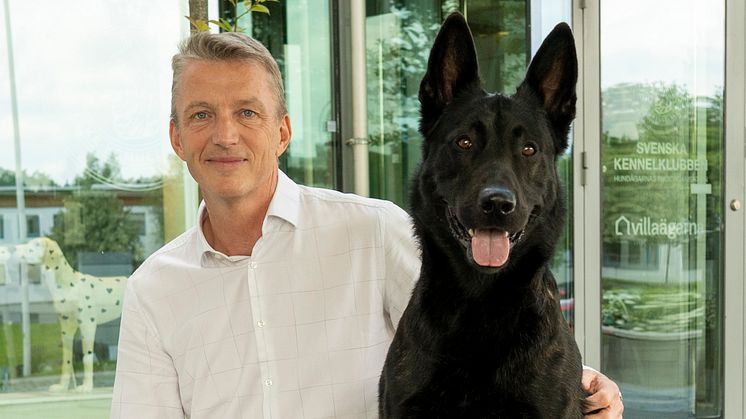 Kees de Jong tillträdde som vd för Svenska Kennelklubben 1 augusti i år. På bilden med en hollandse herdershond.