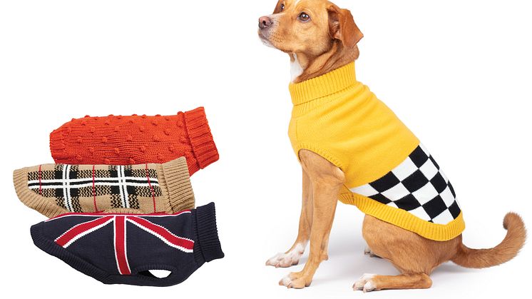 ​Gör din hund redo för hösten