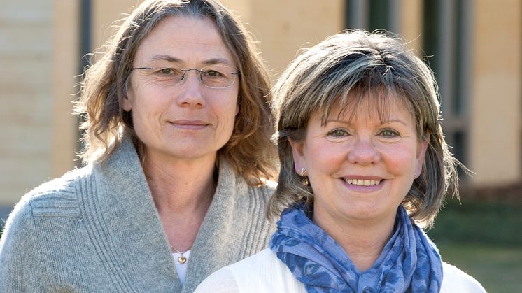 Yale hämtade smärtlindrings-expertis från Högskolan i Skövde