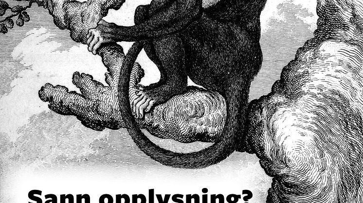 Omslagsforside Sann opplysning?