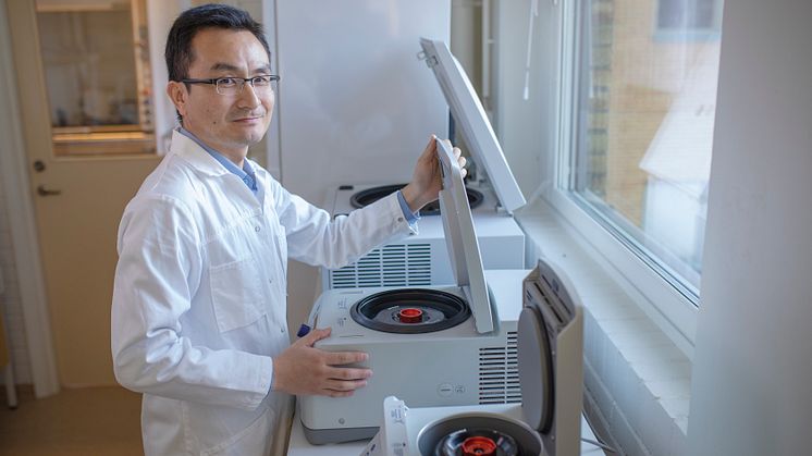 Yaowen Wu, professor of biochemistry at Umeå University, Sweden, has been awardes the prestigious Göran Gustafsson Prize in molecular biology.