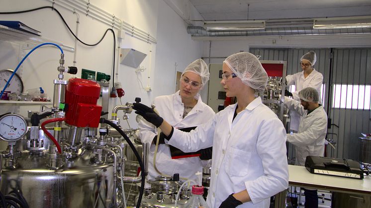 Mycorena PRODUCTION.jpg