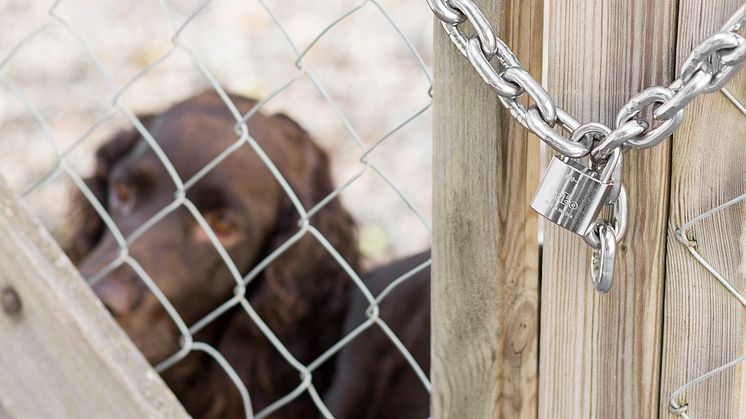 Habo_17319_Padlock