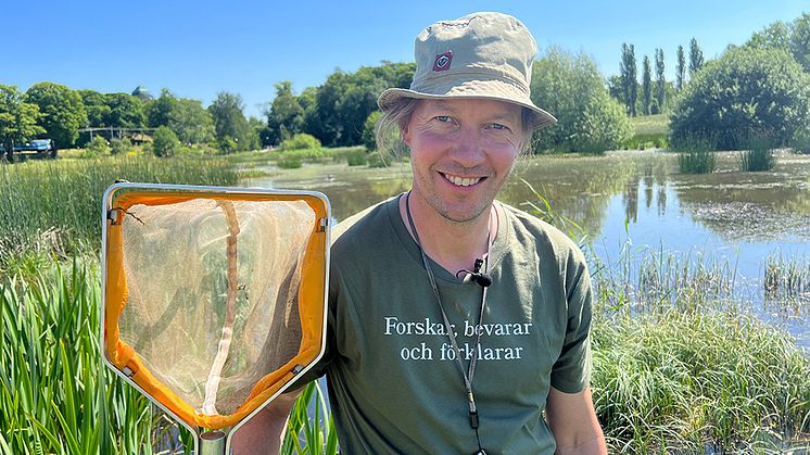 Johannes Bergsten, förste intendent på Naturhistoriska riksmuseet, har i flera filmer tagit reda på vilka insekter och djur som finns i dammen i Bergianska trädgården.