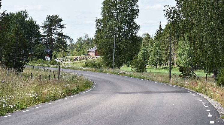 Vägrenar kan vara mycket artrika, men de kan inte ersätta fina ängs- och betesmarker. Foto: Juliana Dániel Ferreira