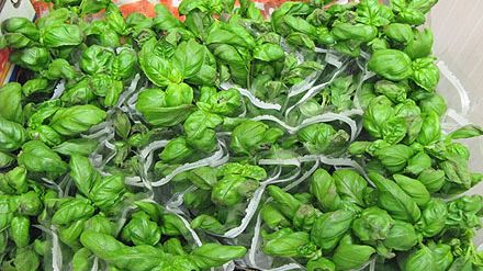 Största svinnet i butik av grönt och kött 