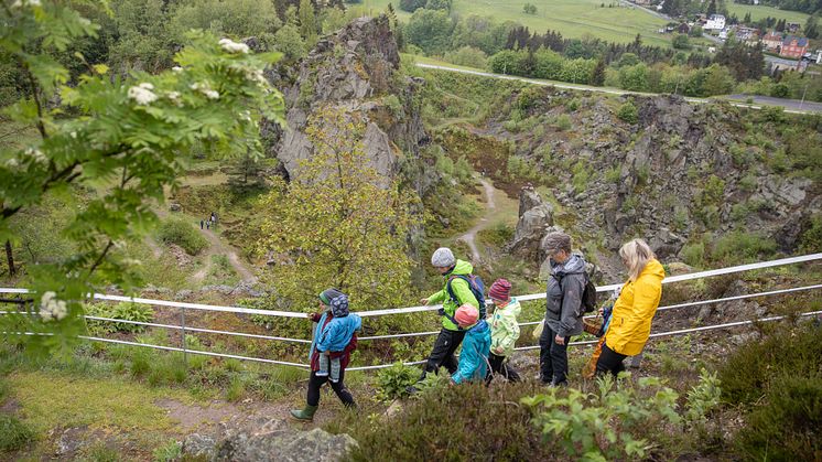 Kraeuterwanderung Binge Geyer (35 von 83)Foto_TVE_Photoron.jpg