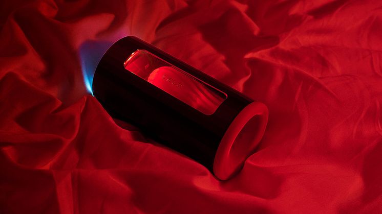 LELO F1S V2