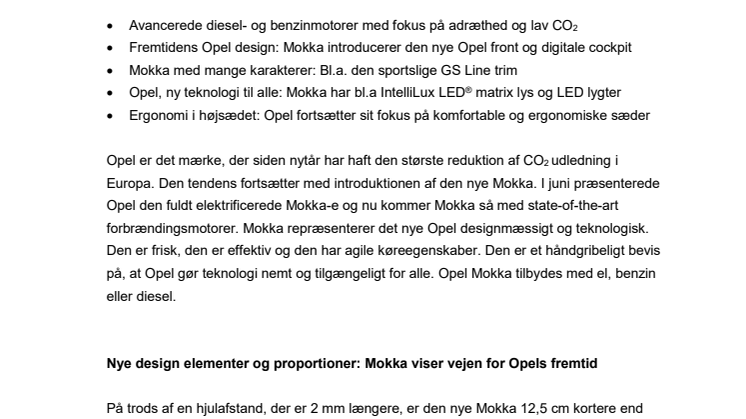 PM Mokka ICE final.pdf