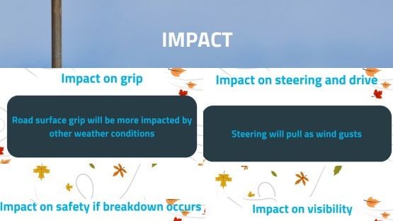 Wind amber - impact darragh.jpeg