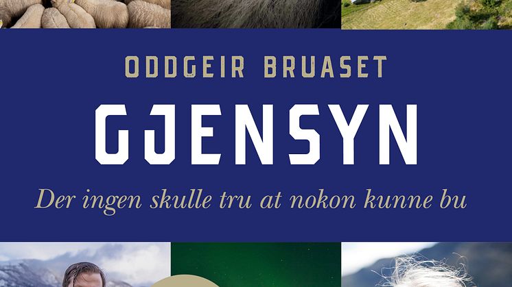 9788234007026 Bruaset_Gjensyn