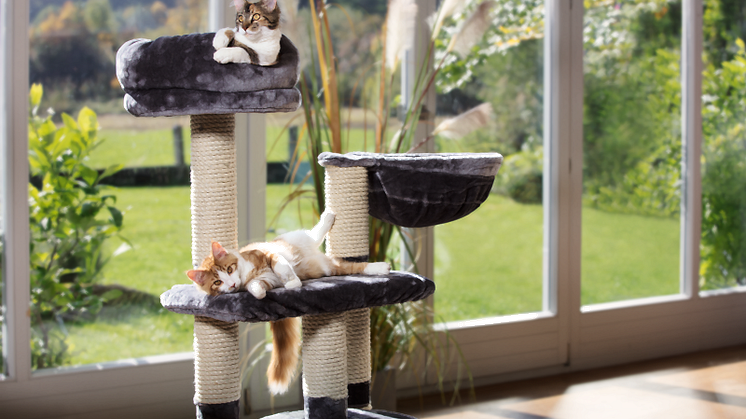 Fressnapf und der Tag der Katze 