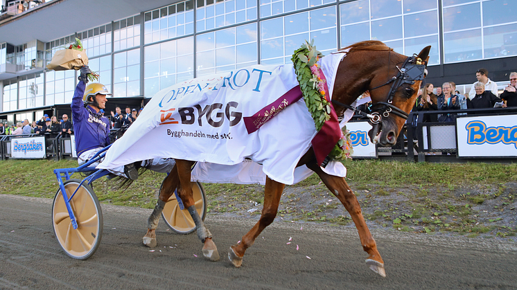 Moni Viking, tränad och körd av Björn Goop, klättrade upp till andra plats i STL-Open efter lördagens seger i Sundsvall Open Trot. Foto: TR Bild.