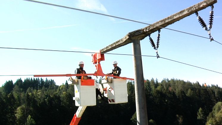 Arbeiten unter Spannung - Vorstellung Team Deggendorf