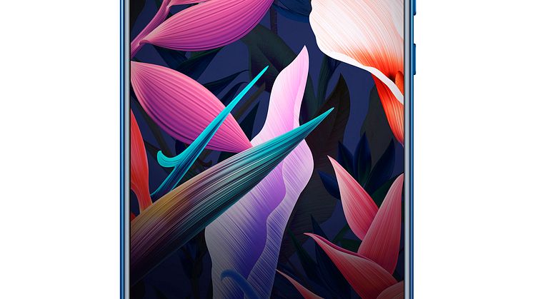 Mate 10 Pro