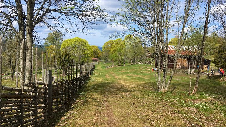 Rätt planerat kan man anordna en coronasäker friluftsdag på många vackra platser, som till exempel Källslätten utanför Falun. Foto: Henny Sahlin