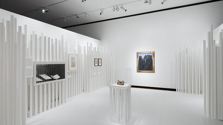 Images from the exhibition space