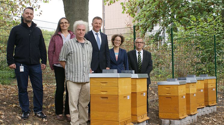 Bienen bei der SIGNAL IDUNA
