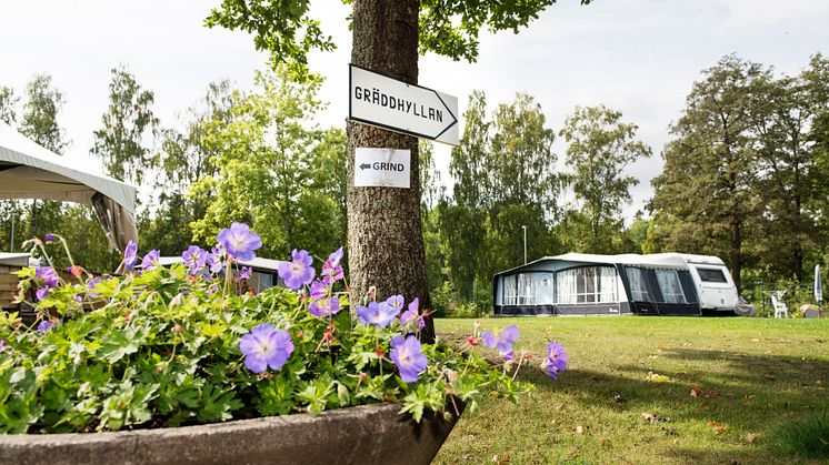 Det blomstrar i badparadiset Skantzö - ett campingplatsreportage