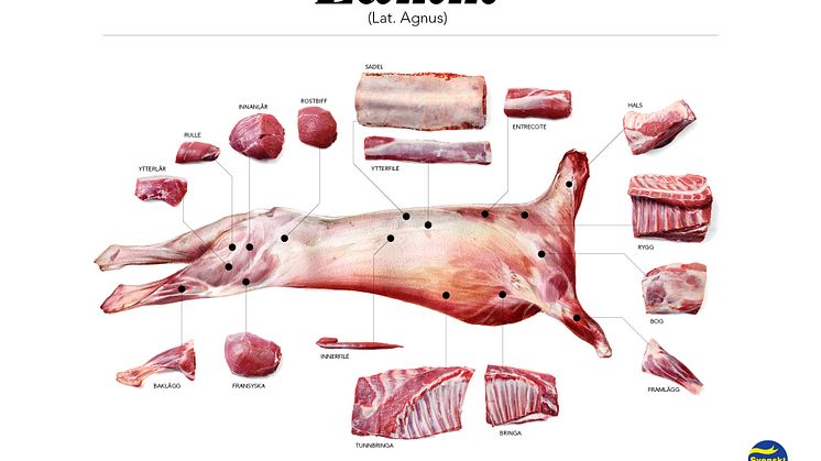 Svenskt Kött efterlyser styckdetaljer till nya styckningsscheman