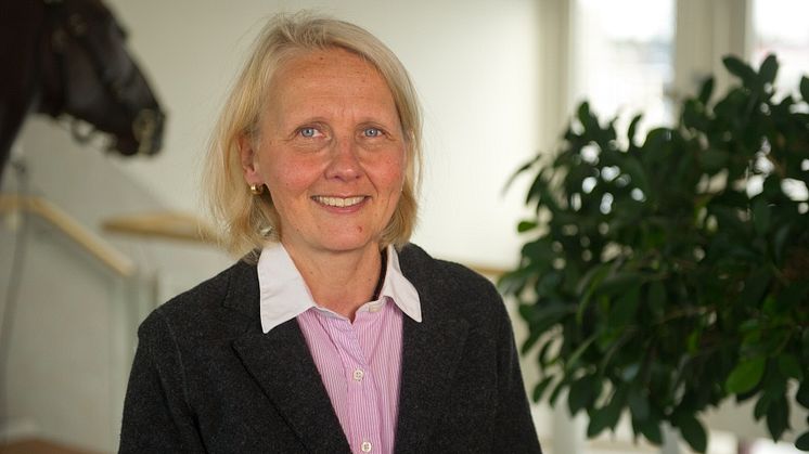 Veterinärkonferens sätter Travhästen i centrum
