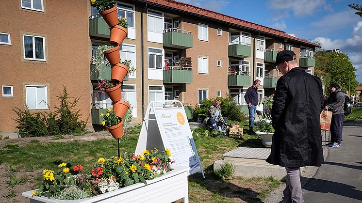 Gröna Solberga bjuder in till höstsalong