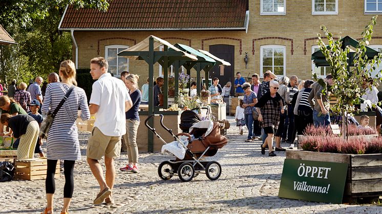 ​Pressinbjudan: Öppet hus på Solnäs Gård