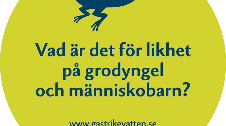 Allt fler väljer biltvätten