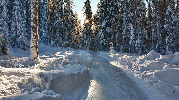 Eisweg Sur En 