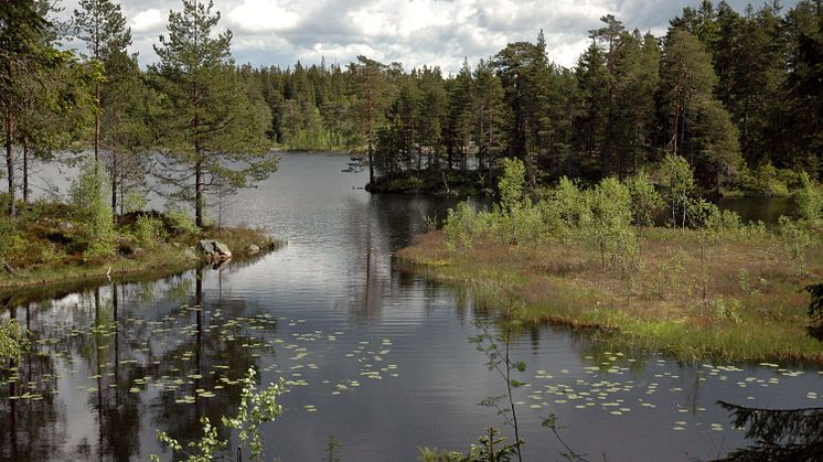 Foto: Örebro kommun/Fredrik Kellén