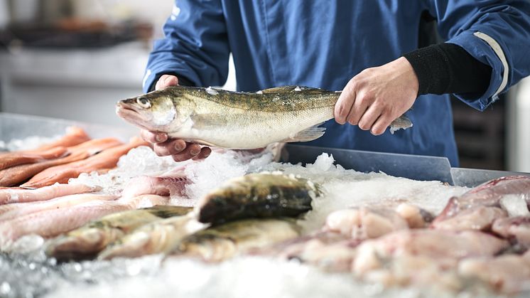 Hvorfor købe fisk hos en fiskehandler?