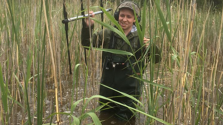 Gustav Wikström radiopejlar efter grodor