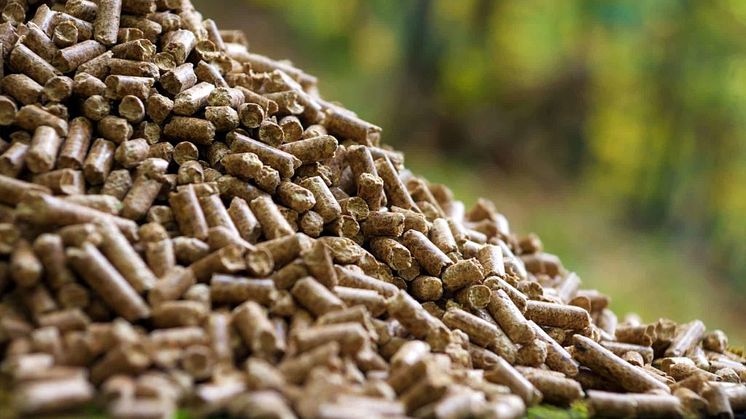 Pellets. Foto Kalmar Energi