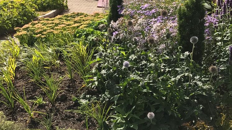 Plantering m konst