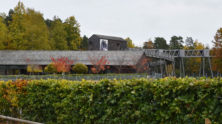 Djurparkens entre och gångbro